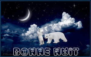 bonne nuit ours blancs